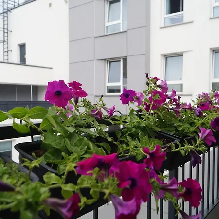 Dwupoziomowy N23 Centrum Parking Gratis Klimatyzacja Piotrkowska I Dworzec Fabryczna 500m Appartamento Łódź