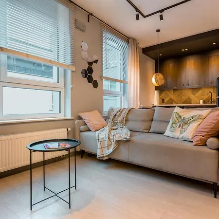 N23 Dwupoziomowy Centrum Wi-fi Klimatyzacja Apartment Lodz (Lodz)